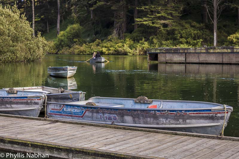 stow_lake_boathouse012 Phyllis Nabhan Photography